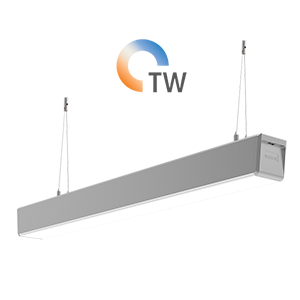 Q-80 Tunable White