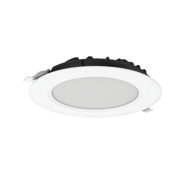 DL-Slim